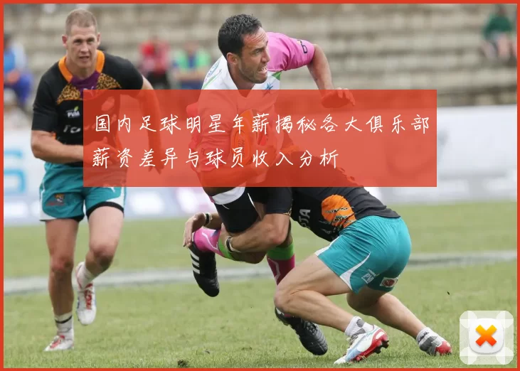国内足球明星年薪揭秘各大俱乐部薪资差异与球员收入分析
