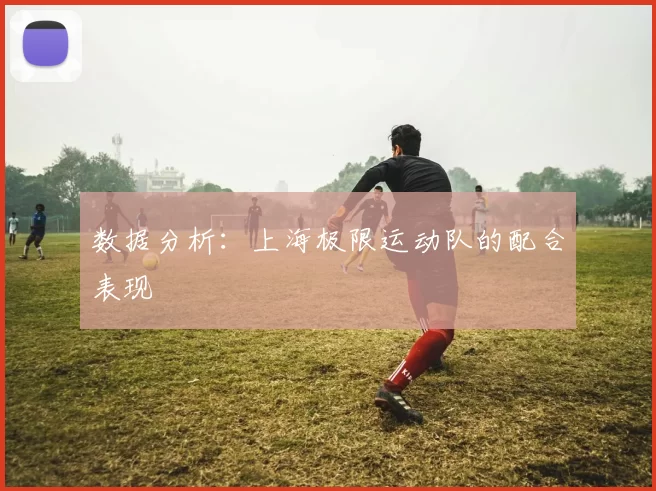 数据分析：上海极限运动队的配合表现