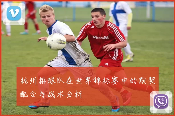 杭州排球队在世界锦标赛中的默契配合与战术分析