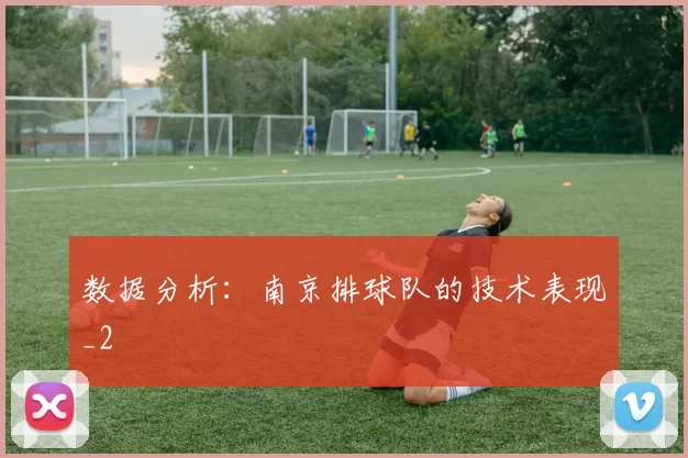数据分析：南京排球队的技术表现_2