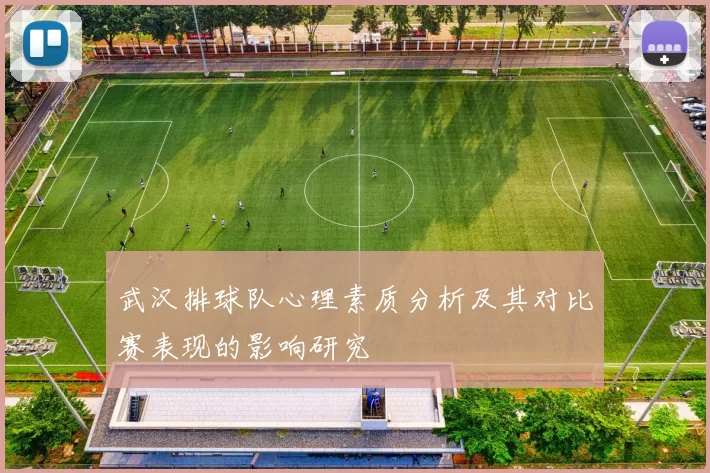 武汉排球队心理素质分析及其对比赛表现的影响研究